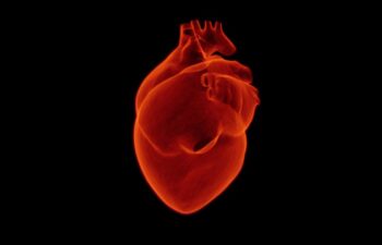 Jak często chodzić do kardiologa? Badanie swojego serca
